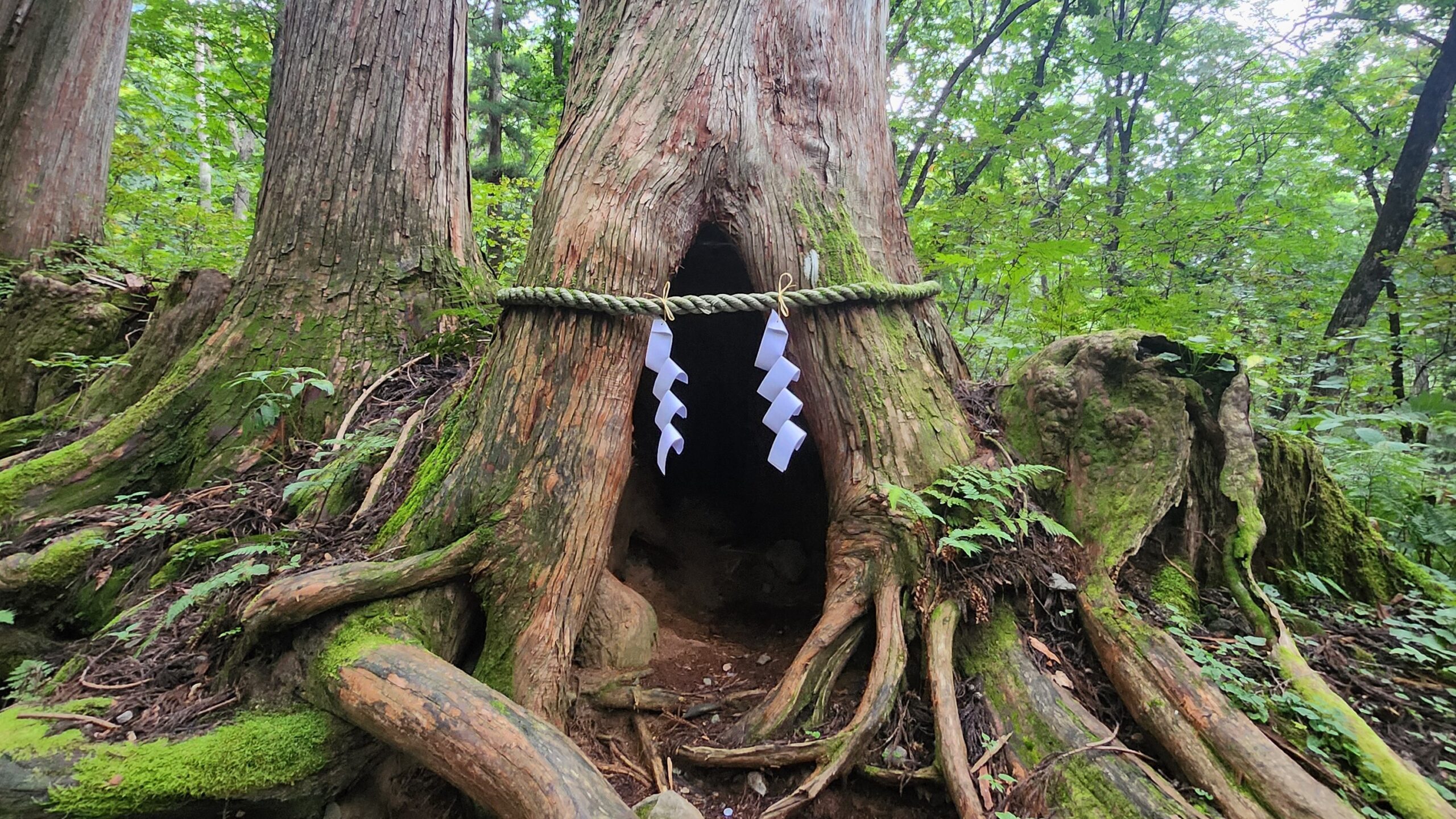 縁結びと心願成就!戸隠神社・九頭龍社のパワースポット旅